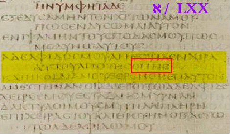 913 html 319af6e2
