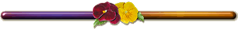 11317 html 90614133cf699545