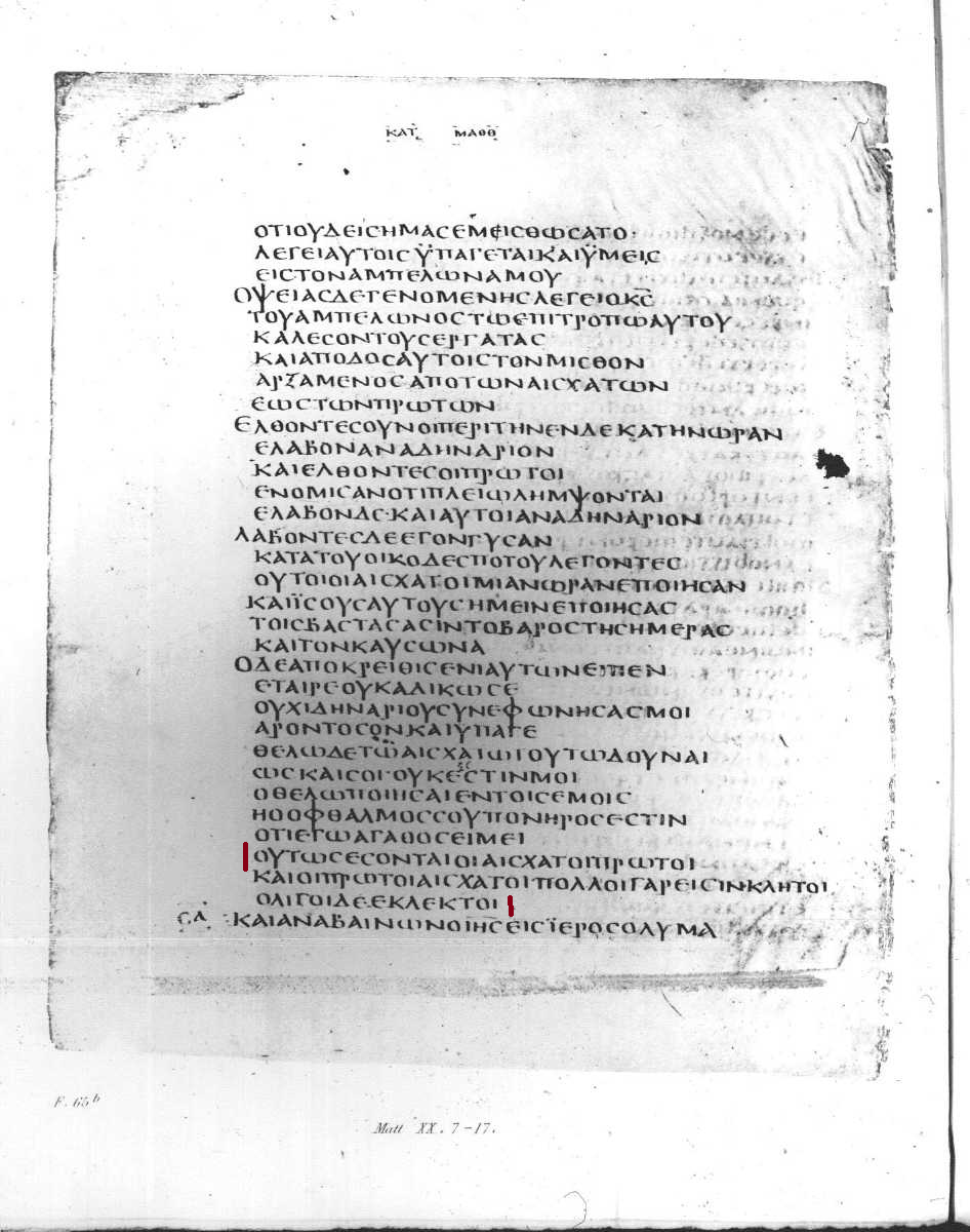 11772 img002