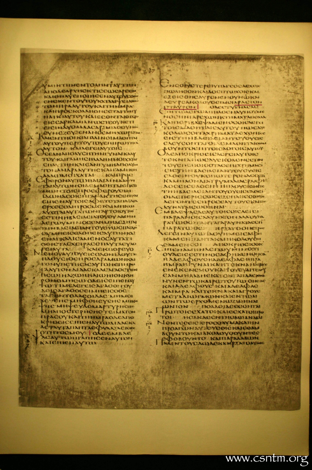 11809 img001