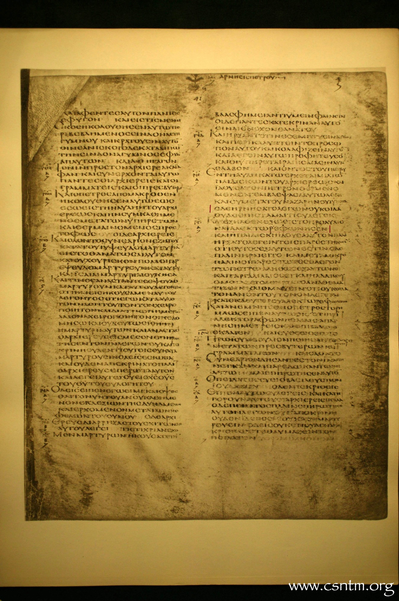 11818 img001