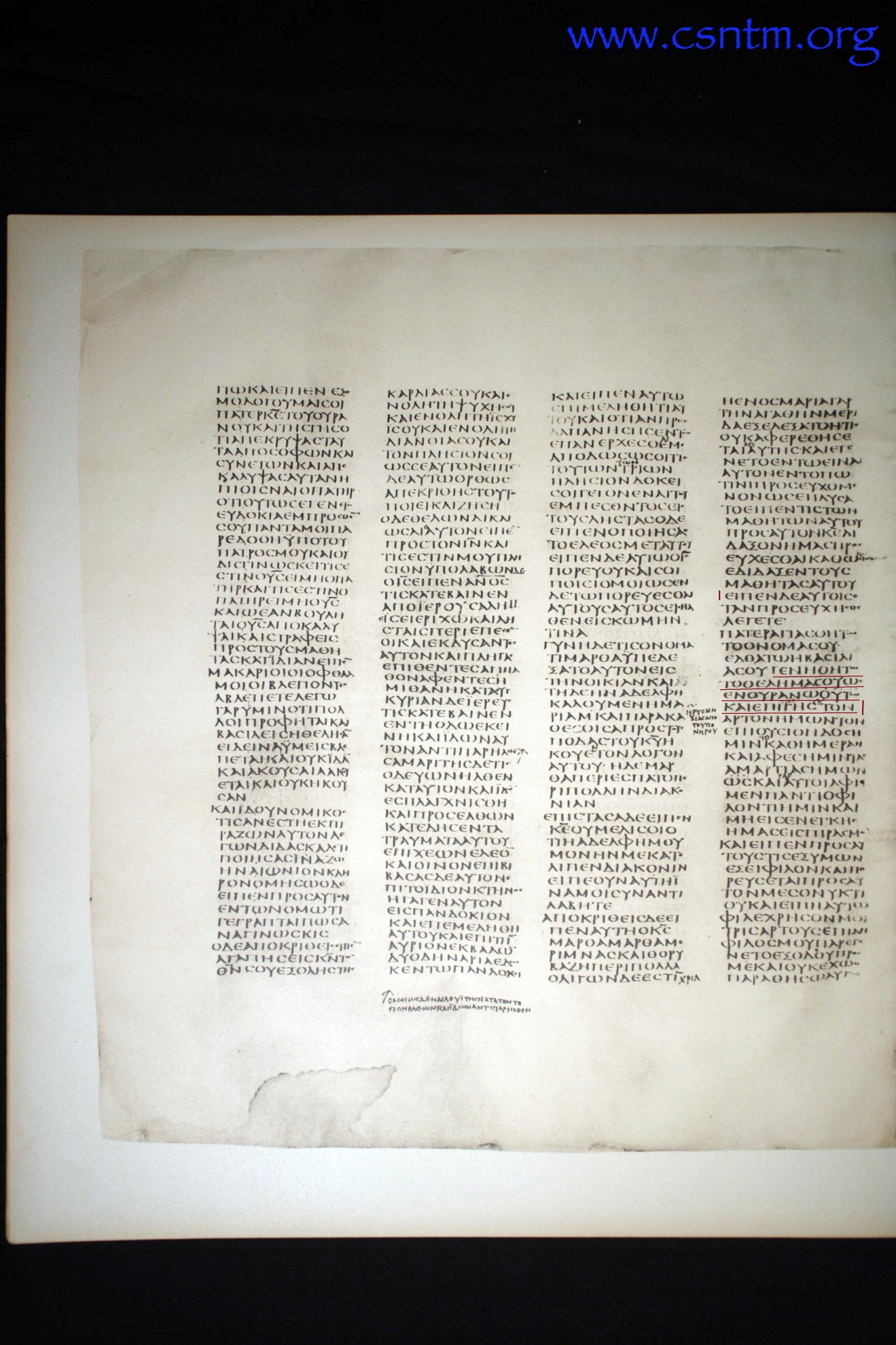 11837 img001