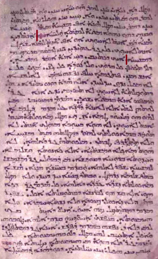11861 img004