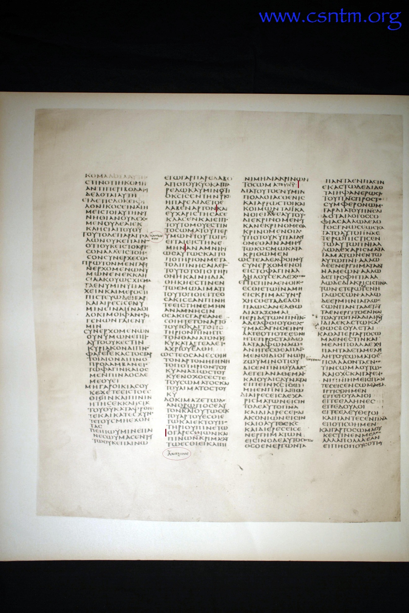 11869 img001