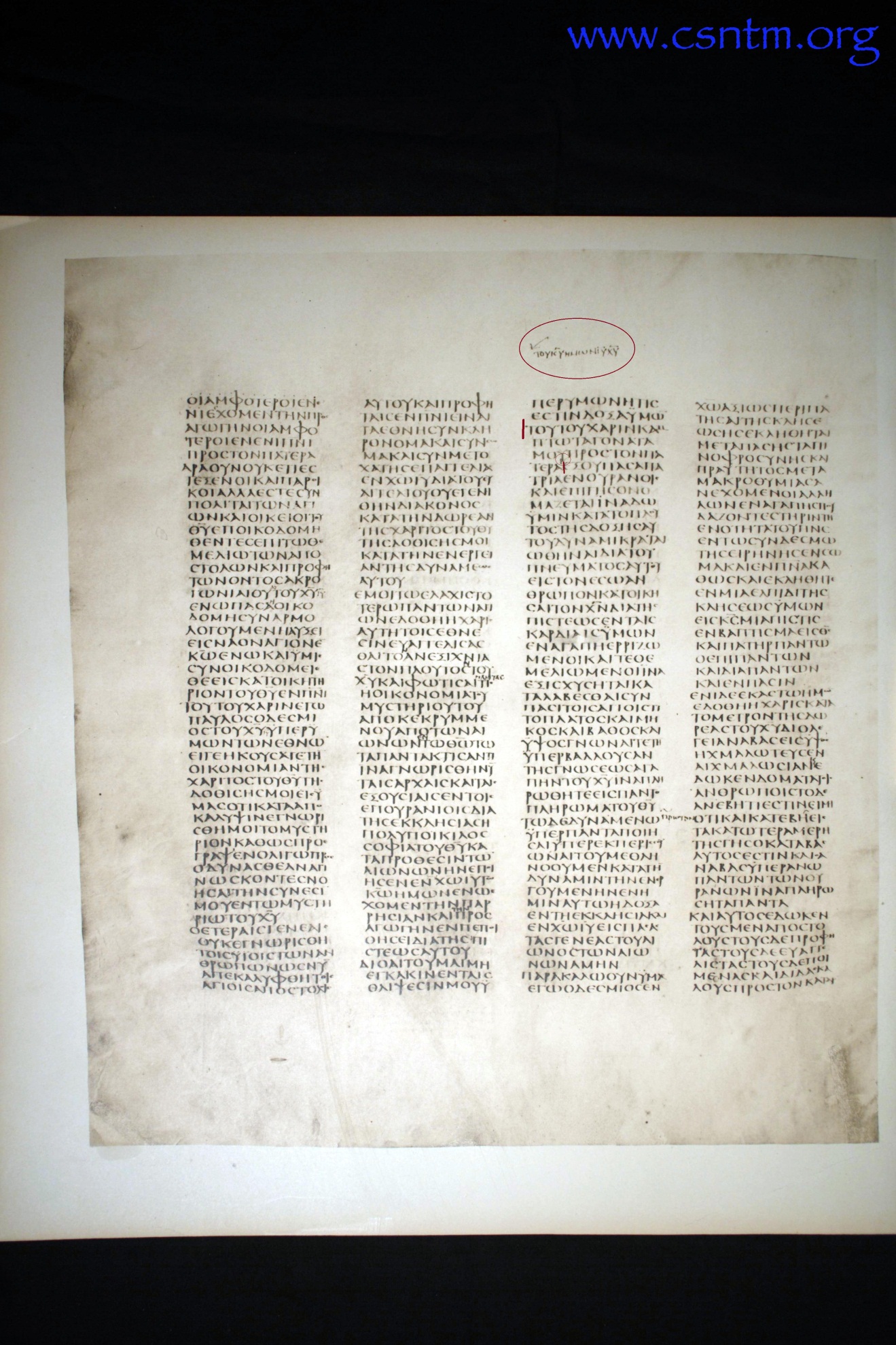 11881 img001