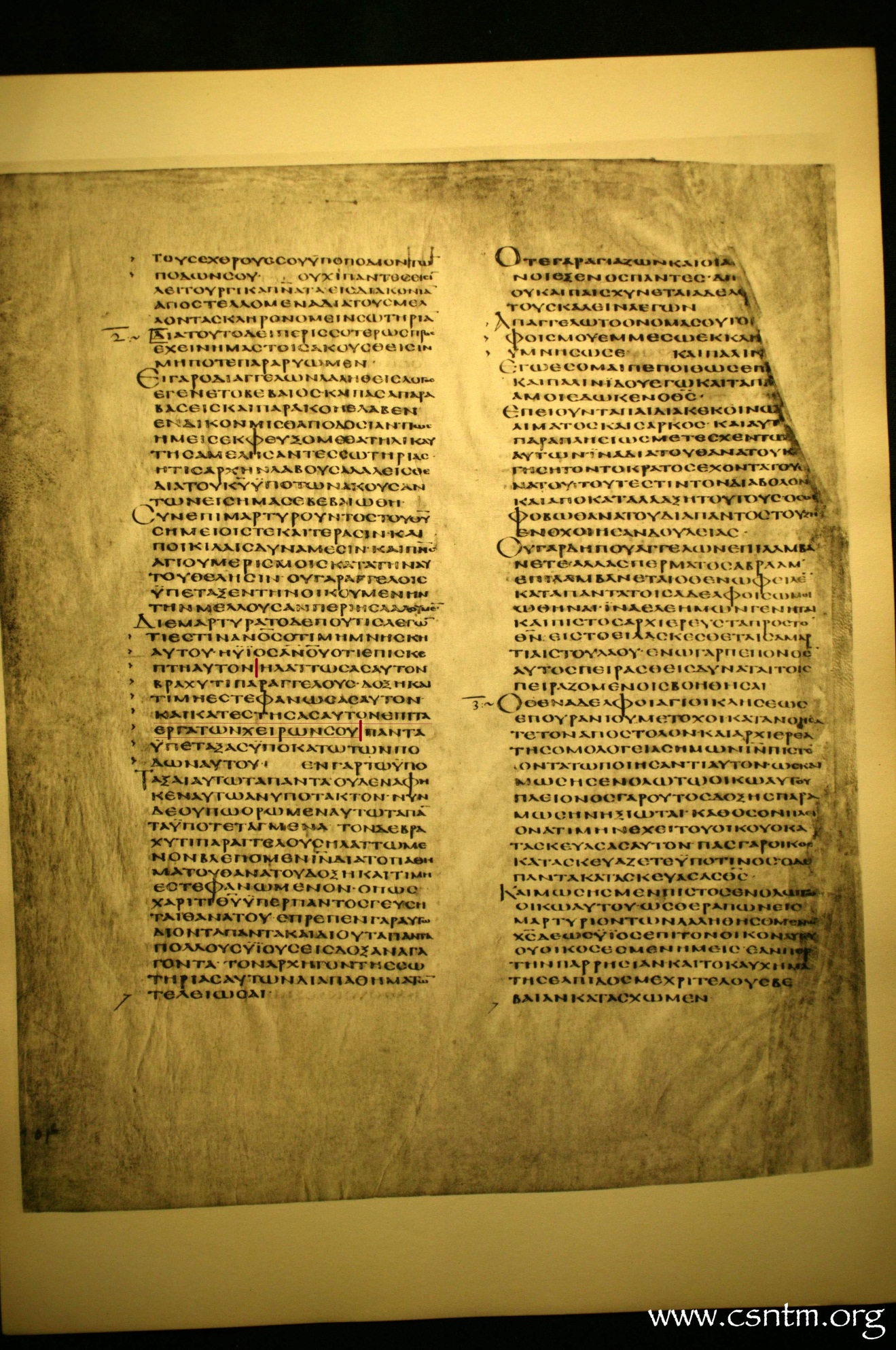 11891 img003