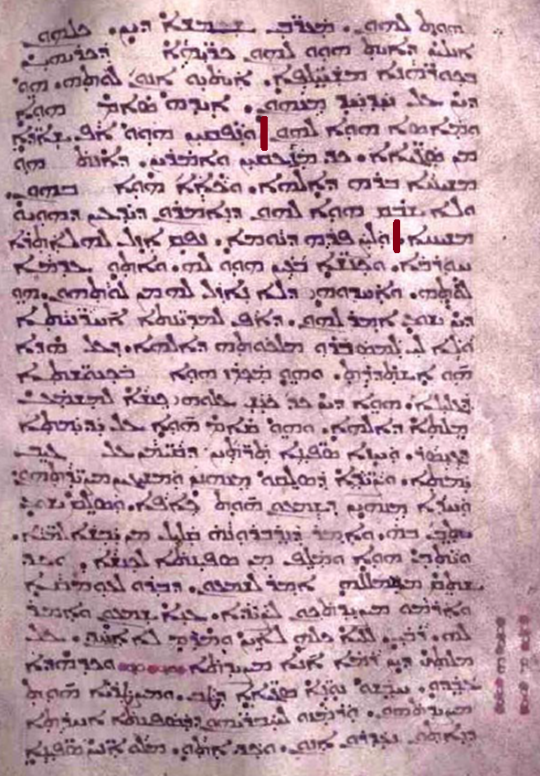 11929 img002