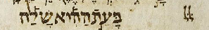 12454 img002