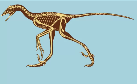 الحيوان للديناصورات يعرف النوع ماحدث كلها او اختفاء وجود عدم ب افراد مثل عدم لبس
